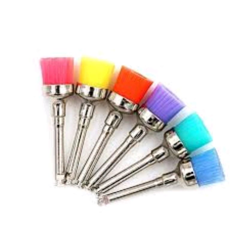 Colorful Prophy brush by Scantrik
