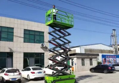 IMG_20241022_38563-1