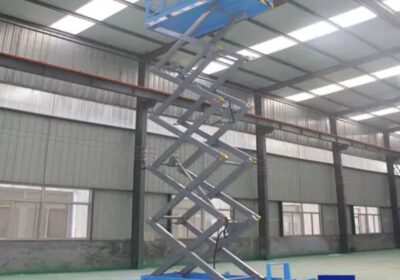 IMG_20241022_40580-1