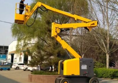 IMG_20241026_11751-1