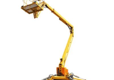 IMG_20241026_13973-1