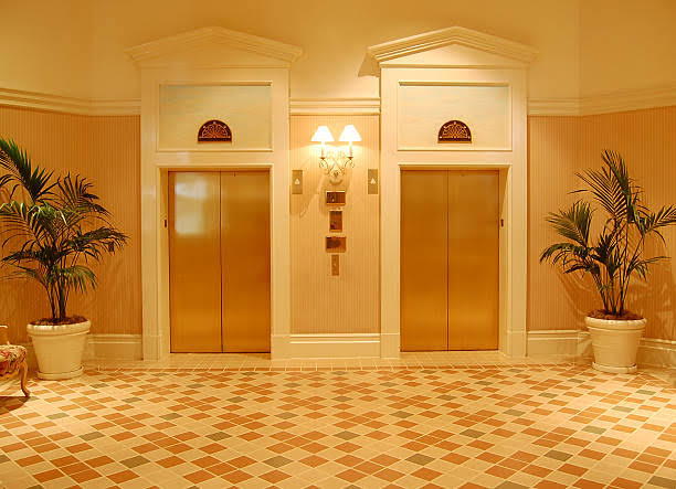 Luxury Hotel Elevator Lift by Home Lift Elevator