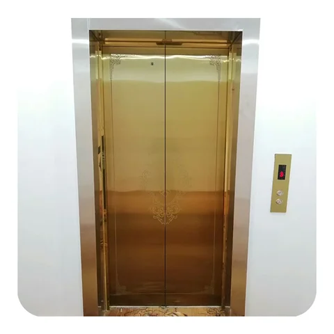 Shaftless Elevator Residential Lift Platform by Home Lift Elevator