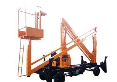 IMG_20241108_48882-1