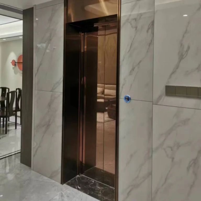 High Quality Stainless Steel Commercial Elevator by Home Lift Elevator