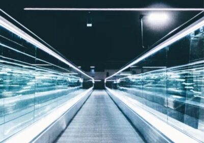 IMG_20241118_48784-1