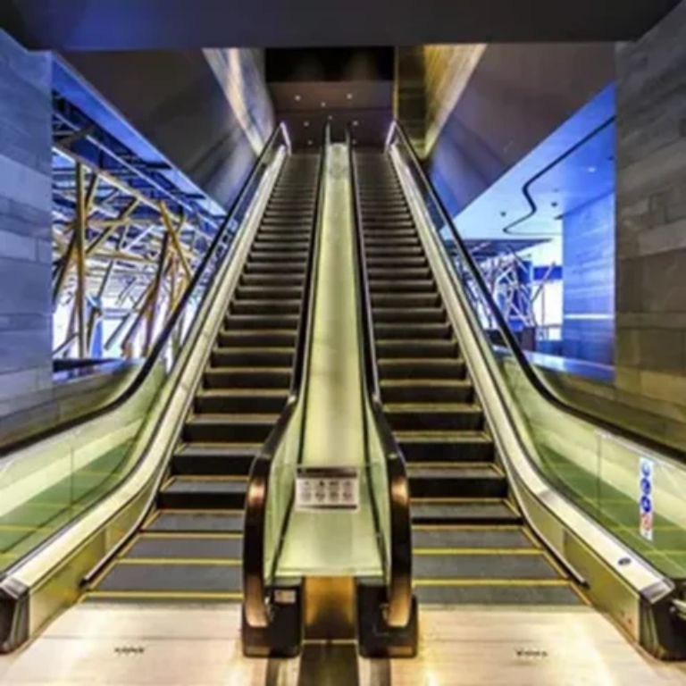 Indoor Escalator with staircase by Home Lift Elevator