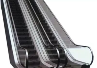 IMG_20241118_55512-1