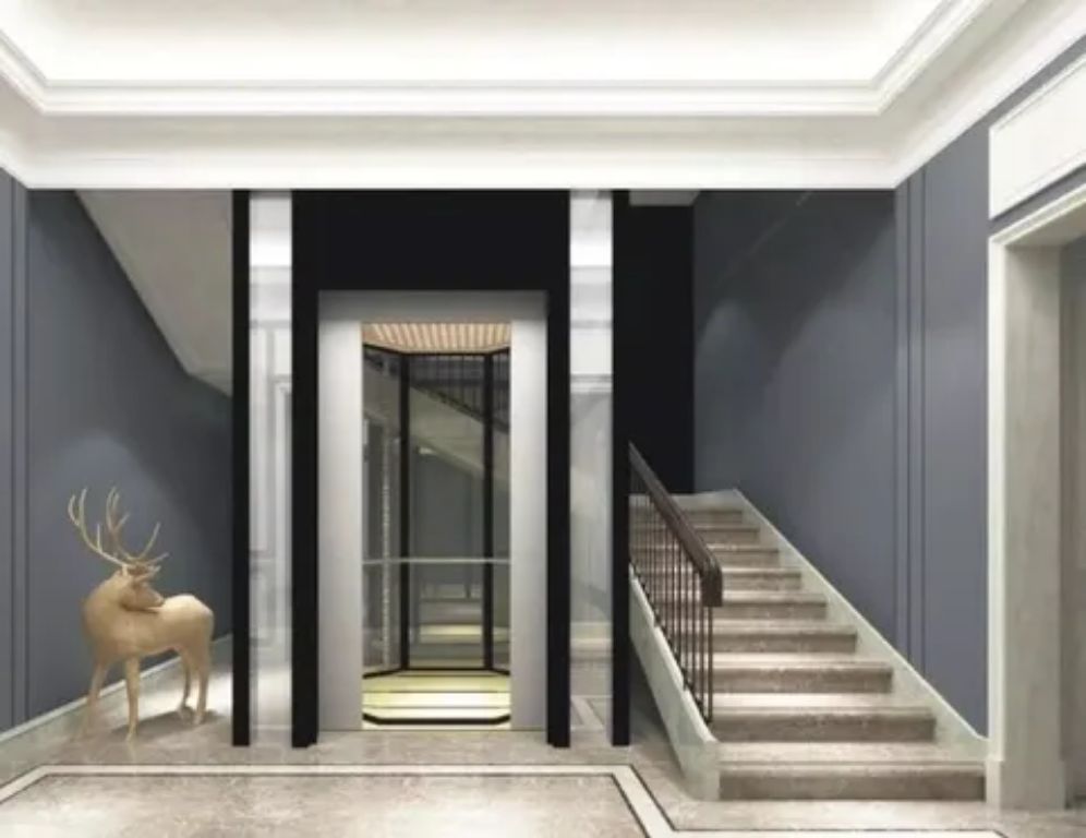 Modern Home Elevator System by Home Lift Elevator