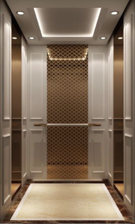 Hydraulic Top Commercial Stainless Steel Lift Platform by Home Lift Elevator