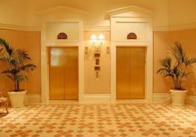 IMG_20241126_27479-2