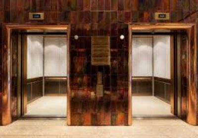 IMG_20241126_28225-2