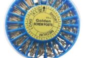 Dentist Conical Dental Screw Post by Scantrik