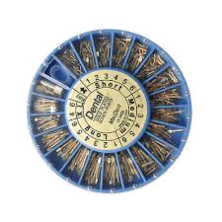 Medical Dental Screw Post by Scantrik