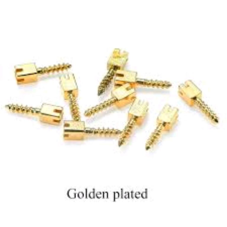 Dental screw post by Scantrik