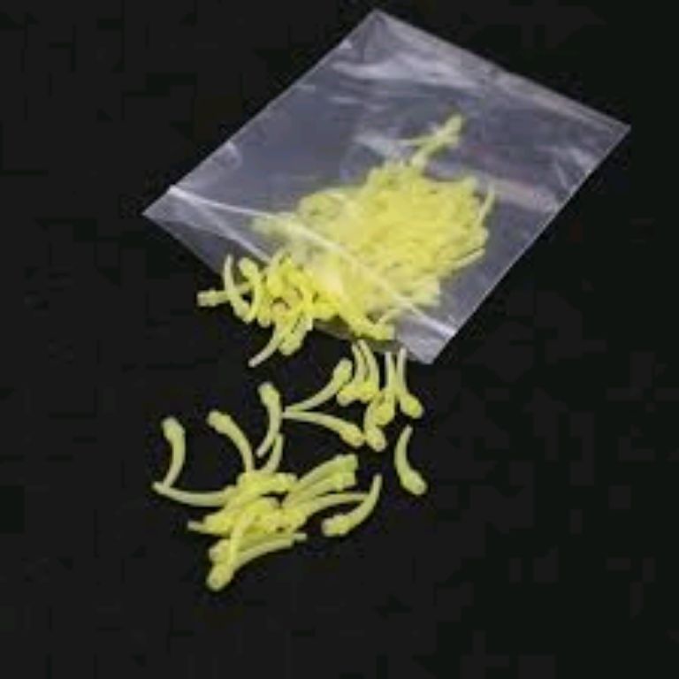 Premium Intraoral Tip by Scantrik