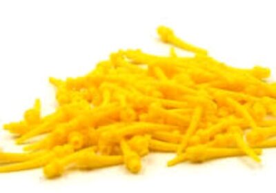 IMG_20241129_44677-1