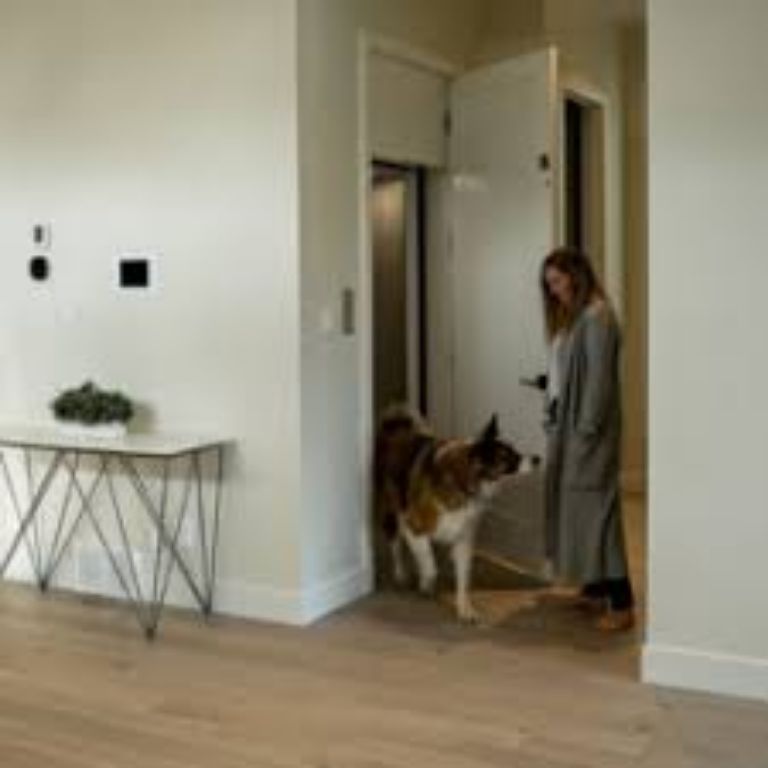 Low Noise Home Elevator