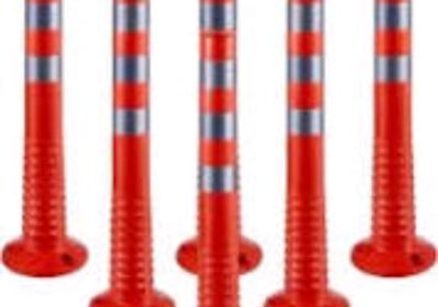IMG_20250129_10897