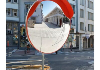 IMG_20250130_25114-1