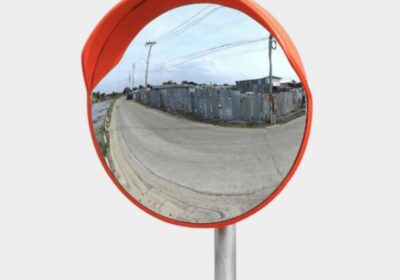 IMG_20250130_25580-1