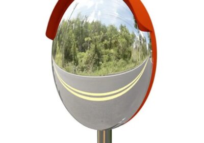 IMG_20250130_28443-1