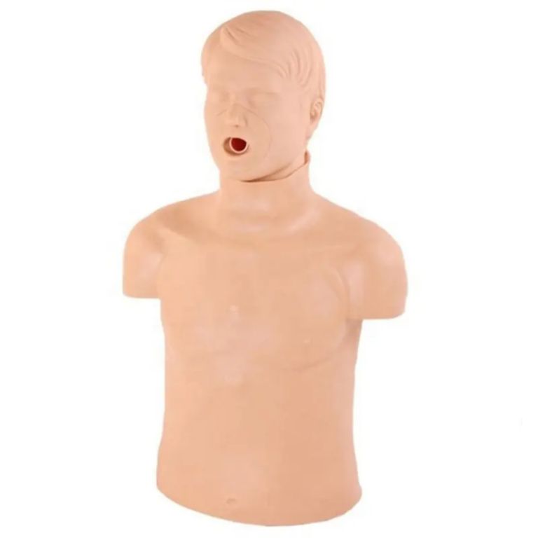 First Aid Mannequin by Scantrik