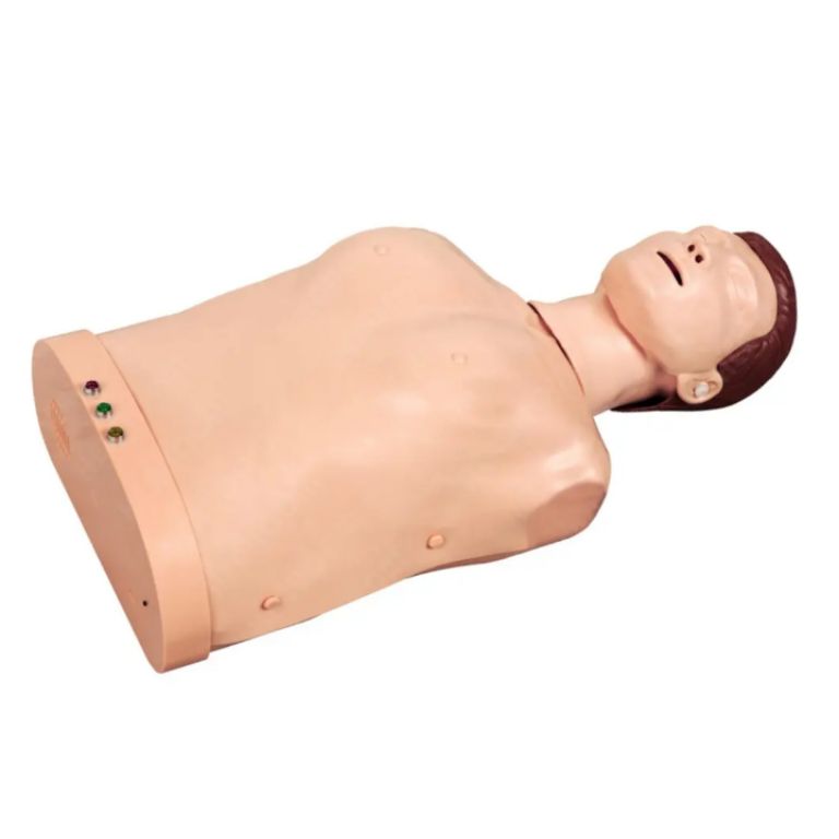 BLS Training Model by Scantrik