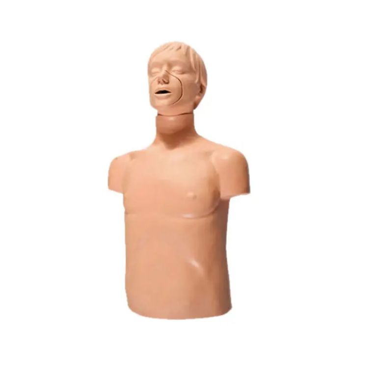 Adult CPR Training Dummy by Scantrik