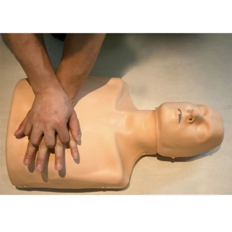 Clinical Skills Manikin by Scantrik