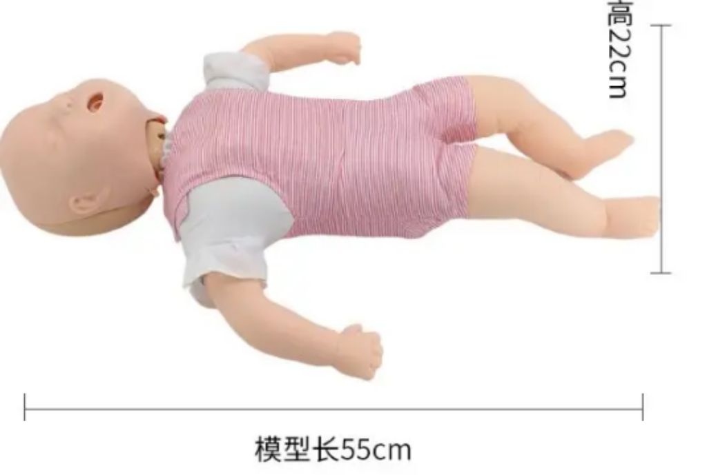 Infant Resuscitation Trainer by Scantrik