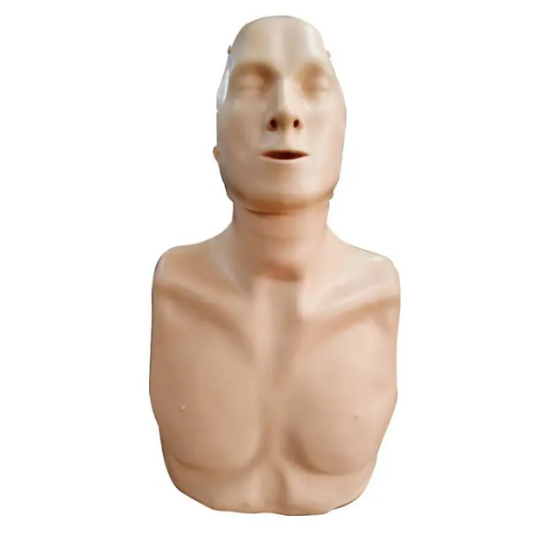 Emergency Responder Manikin by Scantrik