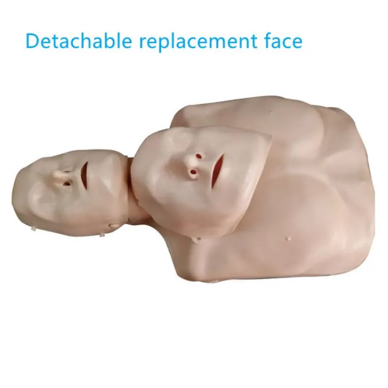 CPR Simulation Model by Scantrik
