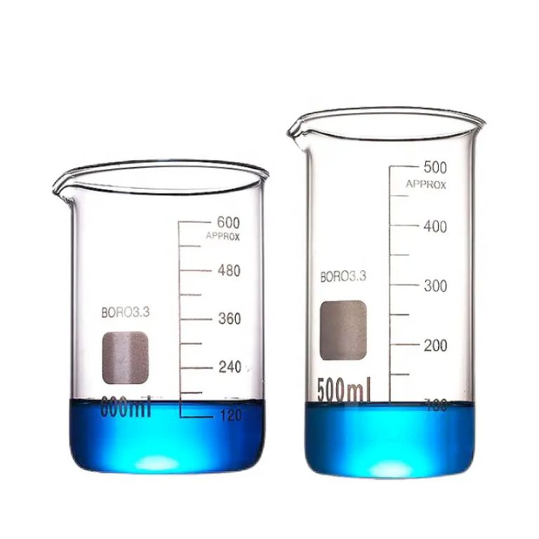 500ml Laboratory Flask by Scantrik