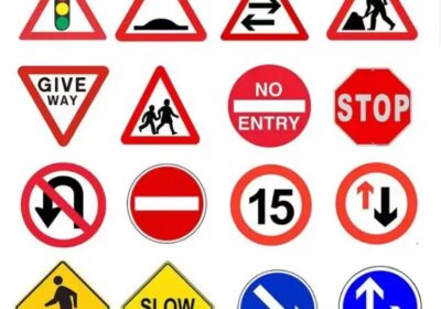 IMG_20250409_58526-1