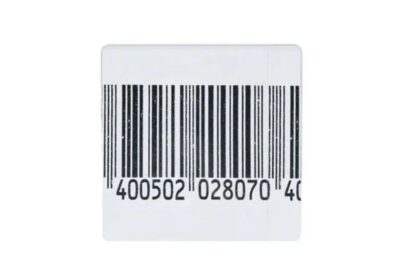 IMG_20250410_38313-2