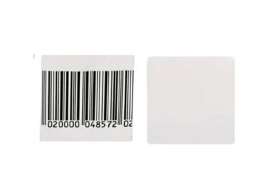 IMG_20250410_41298-1