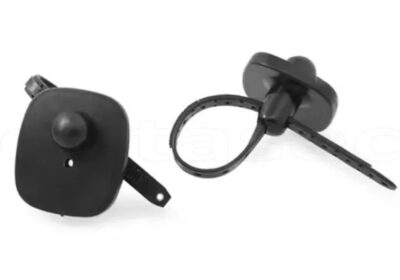 IMG_20250412_43184-1