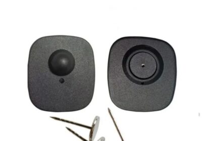 IMG_20250412_46405-1