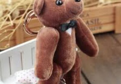 IMG_20250412_49311-1