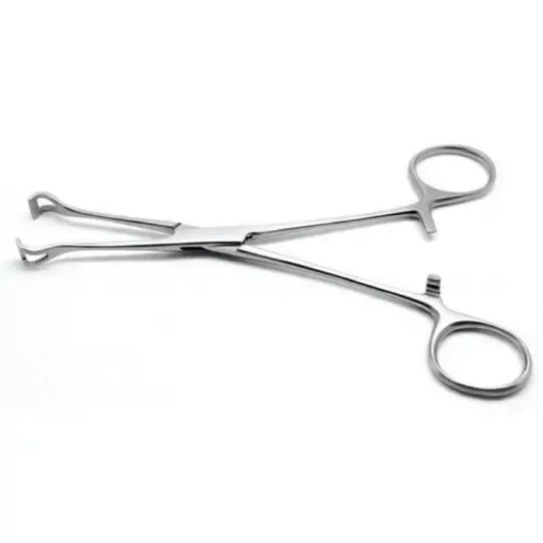 Babcock Intestinal Forceps by Scantrik