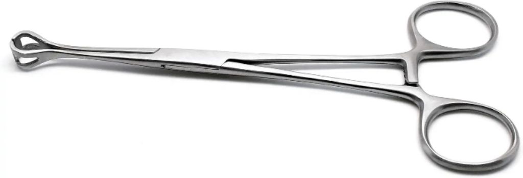 Babcock Holding Forceps by Scantrik