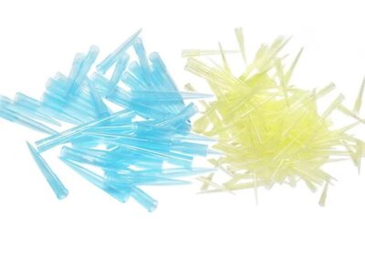 IMG_20250415_10161-1