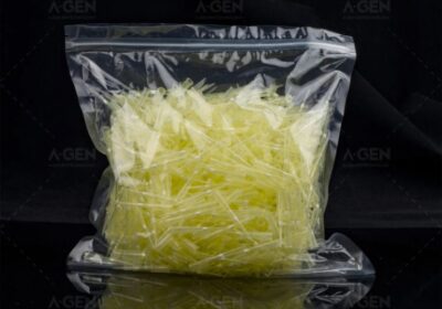 IMG_20250415_10548-1