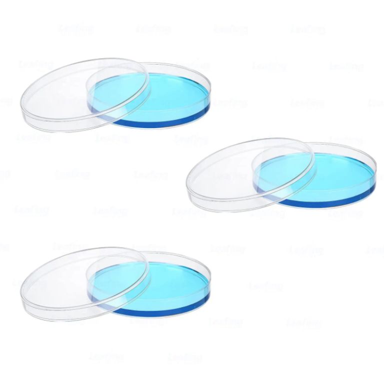 Laboratory Petri Dish Set by Scantrik