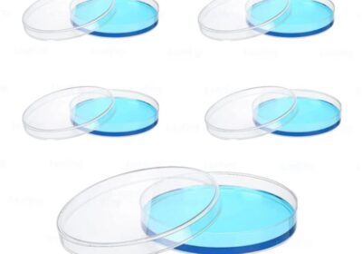 IMG_20250415_23450-1