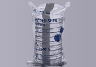 IMG_20250415_25620-1