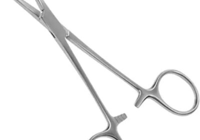 IMG_20250415_48749-1