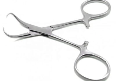 IMG_20250415_49104-1