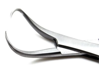 IMG_20250415_50868-1